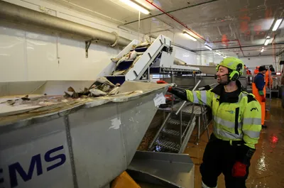 2025 blir et nøkkelår for sjømatkonsernet: – Helt nye muligheter