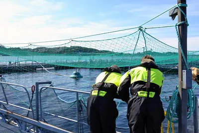 To oppdrettarar kjøper seg inn i Engesund fiskeoppdrett: – Det blir inga endring for dei tilsette