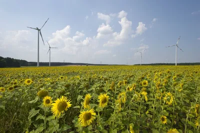 Energiewende setback may cost Germany $70bn, think tank warns