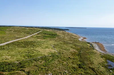 Offshore wind developer plans major hydrogen-to-sustainable aviation fuel plant