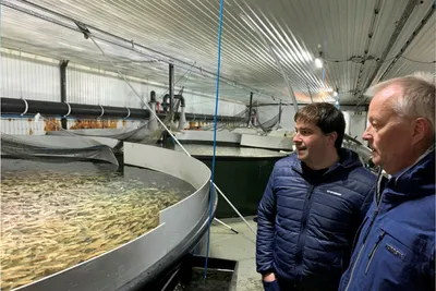 Arctic Cod om utvidelse: – I dag er det en helt annen situasjon, og et bedre utgangspunkt for torskeoppdrett
