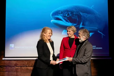 Sjefen i Mattilsynet er bekymret for mer produksjonsfisk i markedet