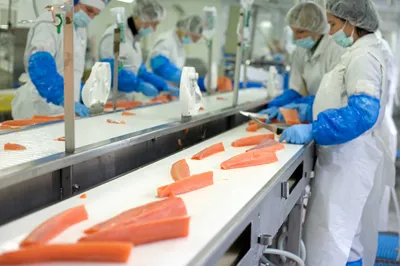 Bremnes Seashore avviklar Salma-produksjonen