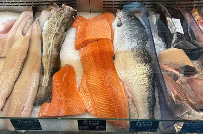 Dårlig år for North Sea Seafood: – Ikke tilfreds
