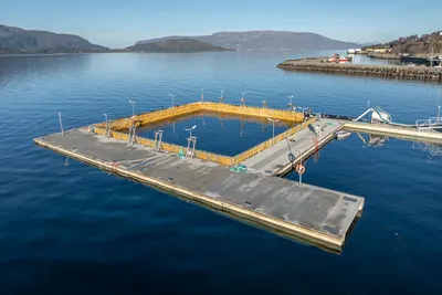 Ny ventemerd levert til torskeoppdretter
