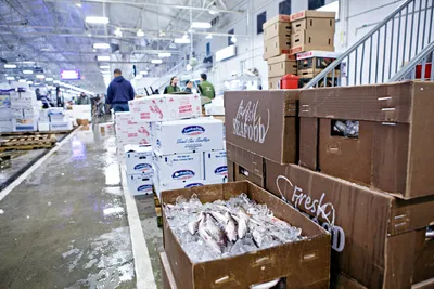 Tolltrusler på USA: Nordmenn vil flytte mer foredling heim fra EU – og jakter nye markeder