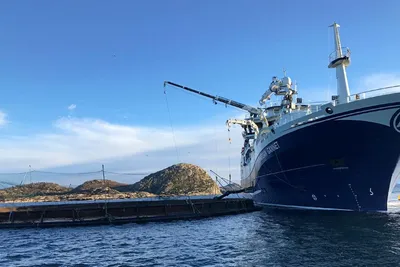 «Norwegian Gannet» forlot oppdrettsanlegg bare timer før rømmingen av 35.000 laks ble oppdaget