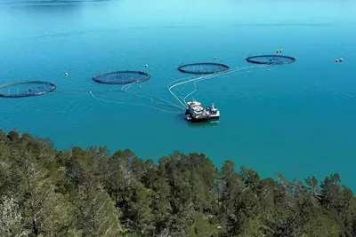Bremnes Seashore først i verden med helelektrisk oppdrettsanlegg for laks