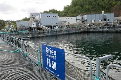 Millionbot til Grieg Seafood etter klorutslipp