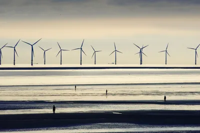 Awkward truths about how wind farms change the weather: ‘you can lose friends over it’