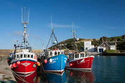 RWE pays fisherman to drop legal challenge against offshore wind farm: report