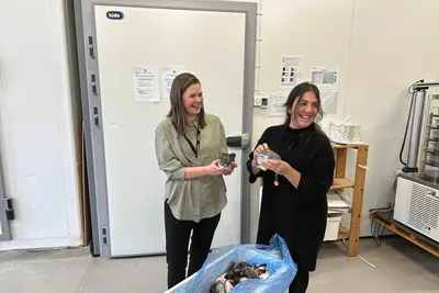 Kan ha funnet oppskriften på «marin lykkepille»