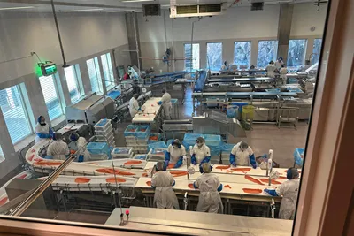 200 tilsette på veg tilbake på jobb etter massepermittering