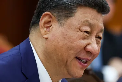 China will have 'kill switch' for its wind turbines in Europe, claims NATO expert
