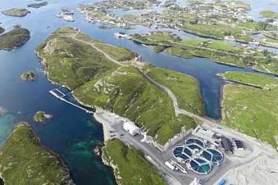 Bue Salmon inngår avtale med Bolaks – slik er planene videre for landbasert-aktøren