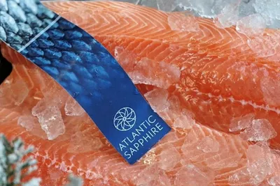 Atlantic Sapphire falt på positiv Oslo Børs torsdag