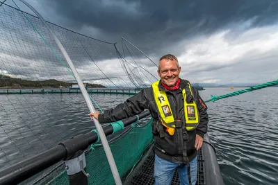 Krysser fingrene for en ny måte å rigge slakt og utsett på