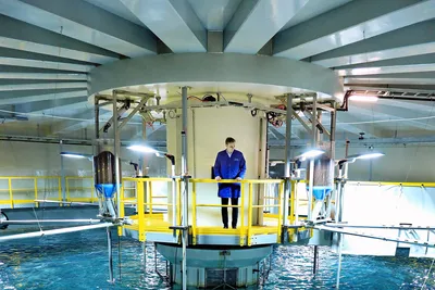 Salmon Evolution måtte avlive 285.000 smolt