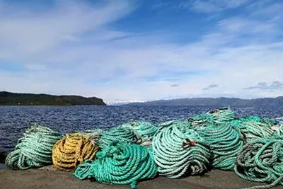 Vil lage nettkurs for røktere for å unngå plastforurensning
