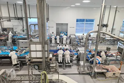 Europeiske foredlere bekymret for konkurransevridning med produksjonsfisk