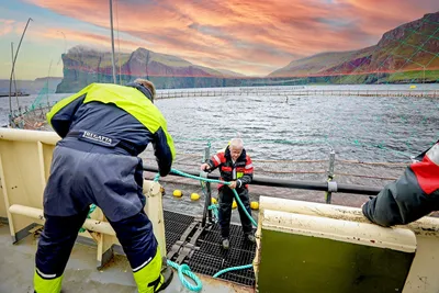 Hiddenfjord har sluttet å fly laks i markedet: – Skal drive bærekraftig i alt vi gjør