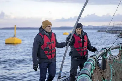 De røde sonene har redusert lusetallene mest på seks år