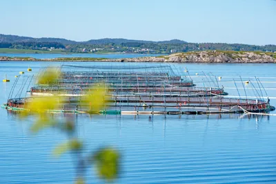 Utvalg vil la staten bestemme over sjø-arealene