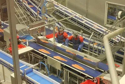 Splid i arbeidsgruppen som foreslår å fjerne særreglene for permittering i fiskeindustrien for oppdrettsnæringen