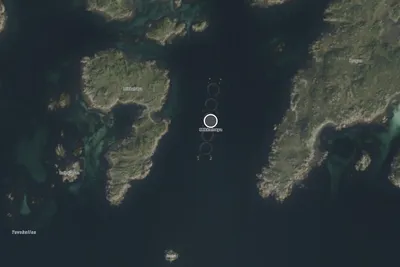 Påvist ILA hos Egil Kristoffersen &amp; Sønner