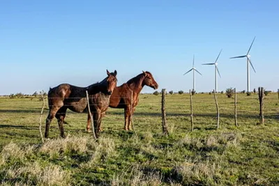 Canada's Boralex makes $250m swoop for project stakes in two key US wind markets
