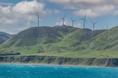 'Time to start digging up coal': Frustration as major New Zealand wind project rejected