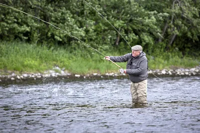 I denne elva må kjendisene betale 400.000 for å få fiske