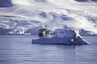 Aker Biomarine merker variasjoner i krillens tilgjengelighet