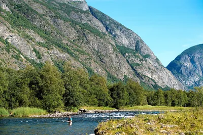 Inviterer til fredssamtaler om villaks og oppdrett