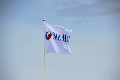 Salmar får refs for dårlig håndtert rømming