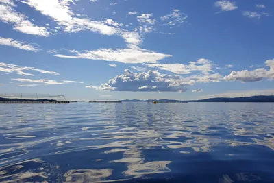 Fôrforbruket falt 5 prosent i juni, mindre fisk i sjøen