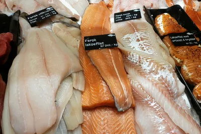 De høye lakseprisene fortsetter - opp mot 76 kroner kiloen for den største fisken