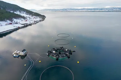 Fiskeridirektoratet mener driften i dette anlegget er «teknisk og miljømessig uforsvarlig»