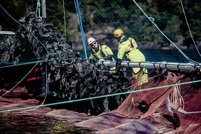Esben Aase (28) leder havbruksavdeling i leverandørselskap: – Ganske tilfeldig at jeg begynte i denne næringen for ti år siden