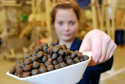 – Det er helt klart at fôr har en innvirkning på fiskens helse