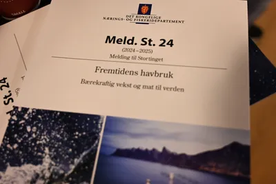 – Stortinget blir ikke presentert for en à la carte-meny, men en fastsatt selskapsmeny