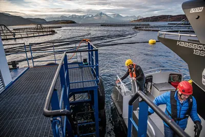 Økt salg av oppdrettsfisk i 2021: Troms og Finnmark solgte mest, tett fulgt av Nordland