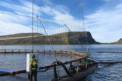 Harbor hentet nye 20 millioner