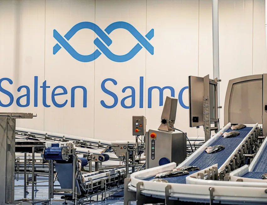 Har bruk 50 millioner kroner på filetfabrikken