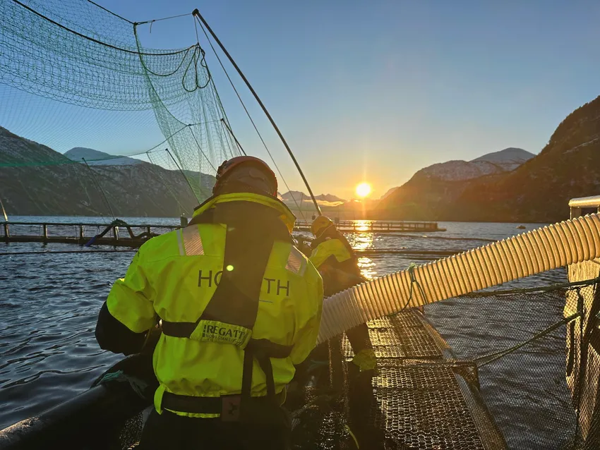 Fant to avvik hos Hofseth: – Vi jobber hele tiden for å bedre fiskevelferden