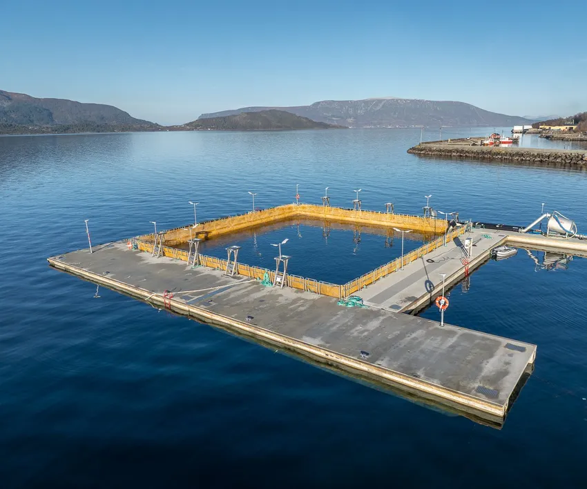 Ny ventemerd levert til torskeoppdretter