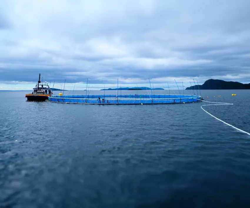 Endrede planer og sykdom førte til ekstrakostnader for Grieg Seafood