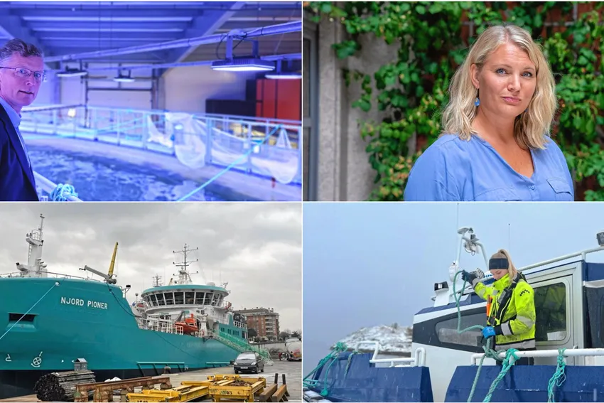 Første del av 2023 oppsummert: Konkurs, nytt brønnbåtrederi og granskning