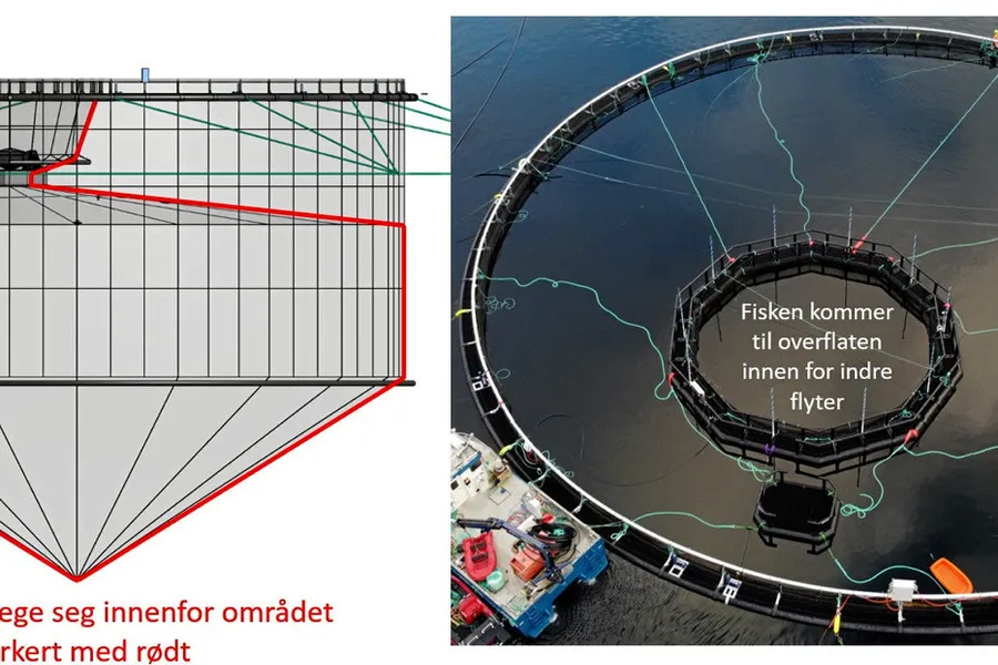 Konseptet til Biosort. Fisken kan bevege seg i det røde området.