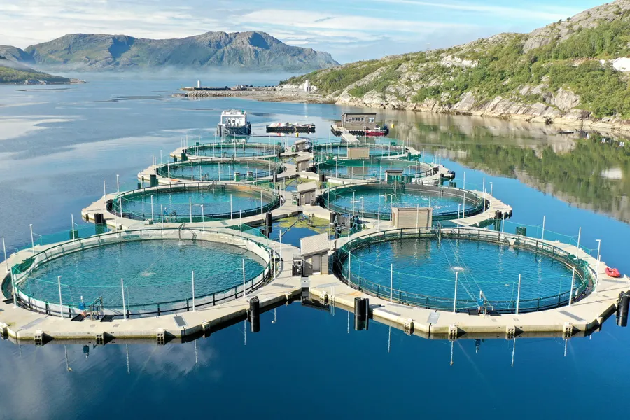 Lokaliteten Andalsvågen, tilhørende Akvafuture.